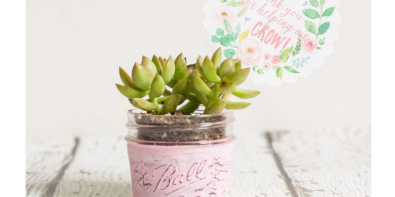 Mini Succulent Planter Gift Idea Plus FREE Printable Gift Tag