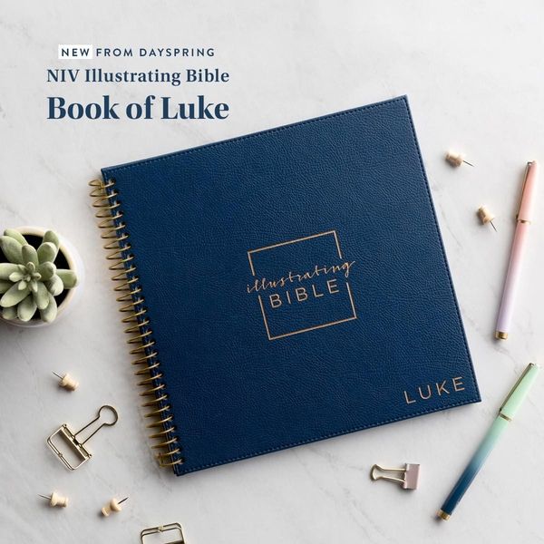 Details about the Book of Luke Illustrating Bible 