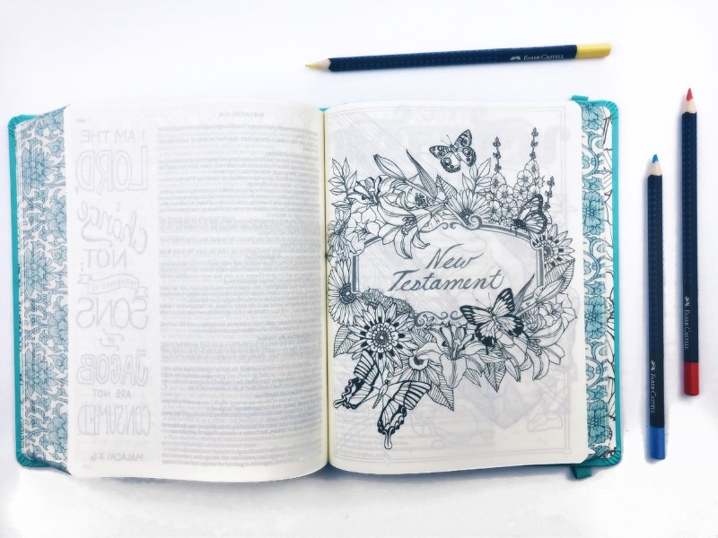 Extensive Review of Illustrating Bible 2.0 with Flip-Through Video -  Southern Couture