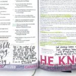 Round-Up of Bible Journaling Entries for What's True About You Kit 2