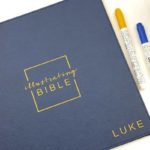 Review and Flip-Through of the Illustrating Bible Book of Luke